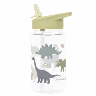 Drink bottle: Dinosaurs