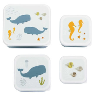 Lunch & snack box set: Ocean